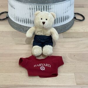 Harvard Teddy Bear with Red Sweater
